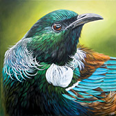 Craig Platt nz bird art exhibition